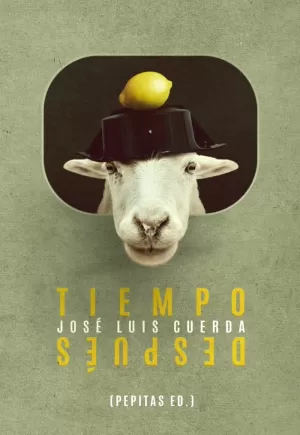 TIEMPO DESPUÉS